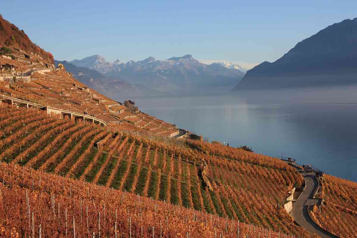 vino trekking autunno