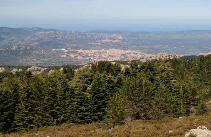 Vista dal Monte Limbara