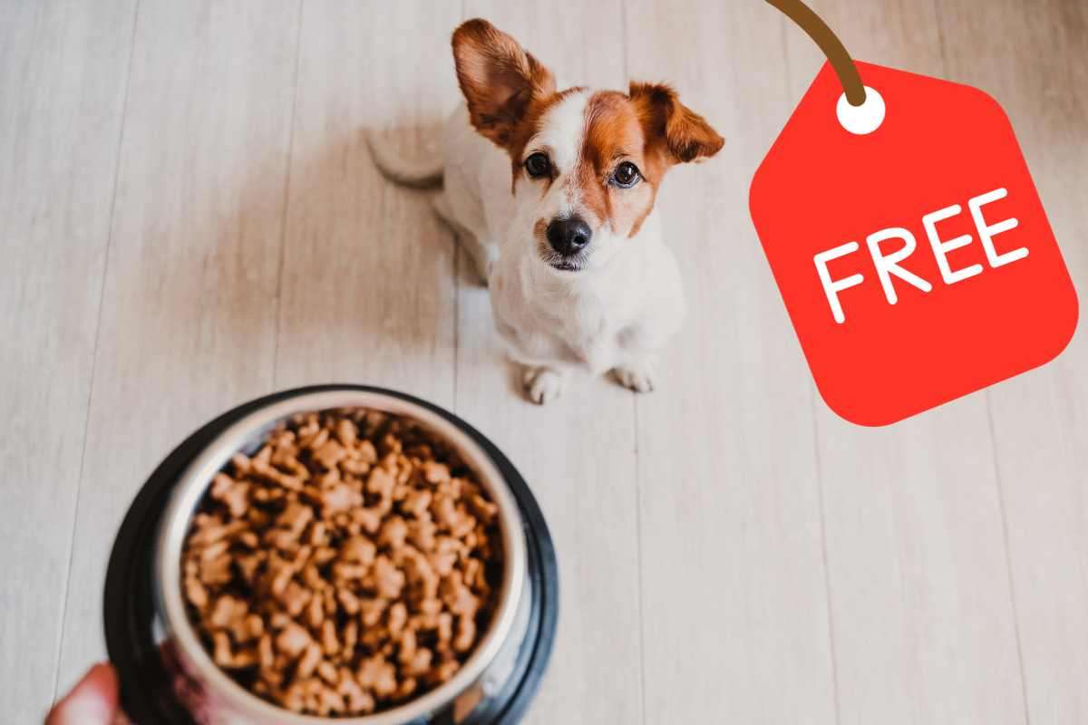 Come ottenere cibo per animali gratis