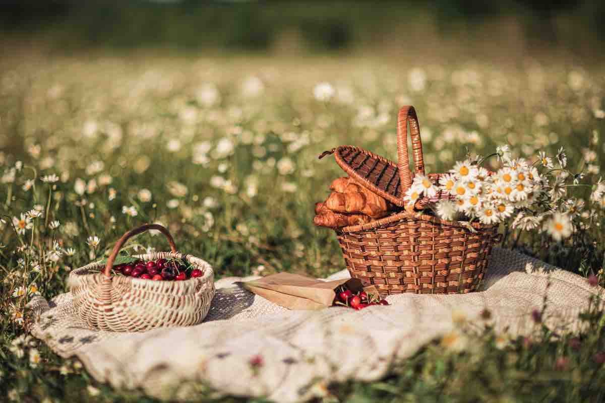 Tipo esempio di picnic