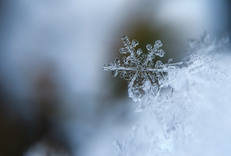 Risultato test fiocco di neve