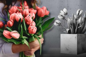 Come piantare i tulipani in vaso