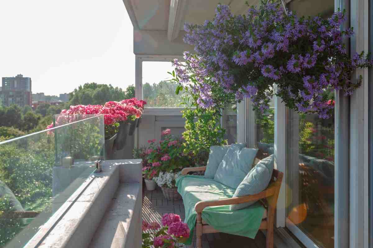 Quale pianta tenere in balcone