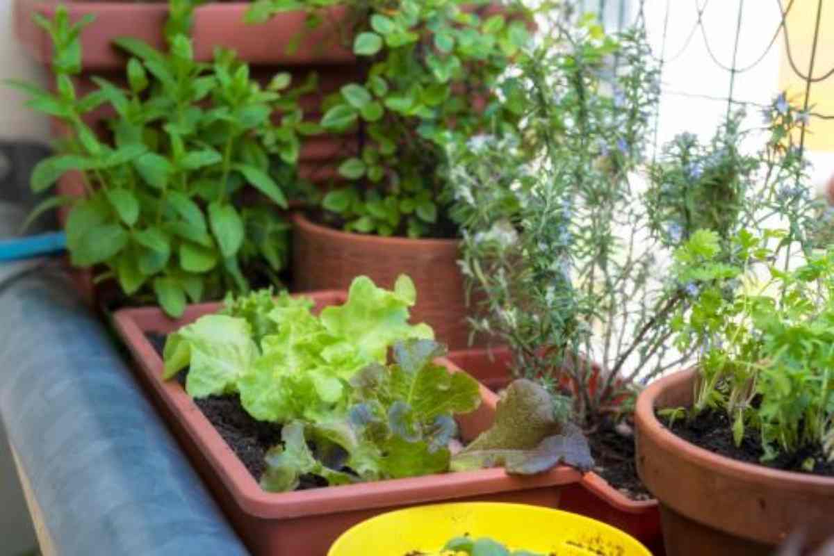 come fare una serra in un balcone