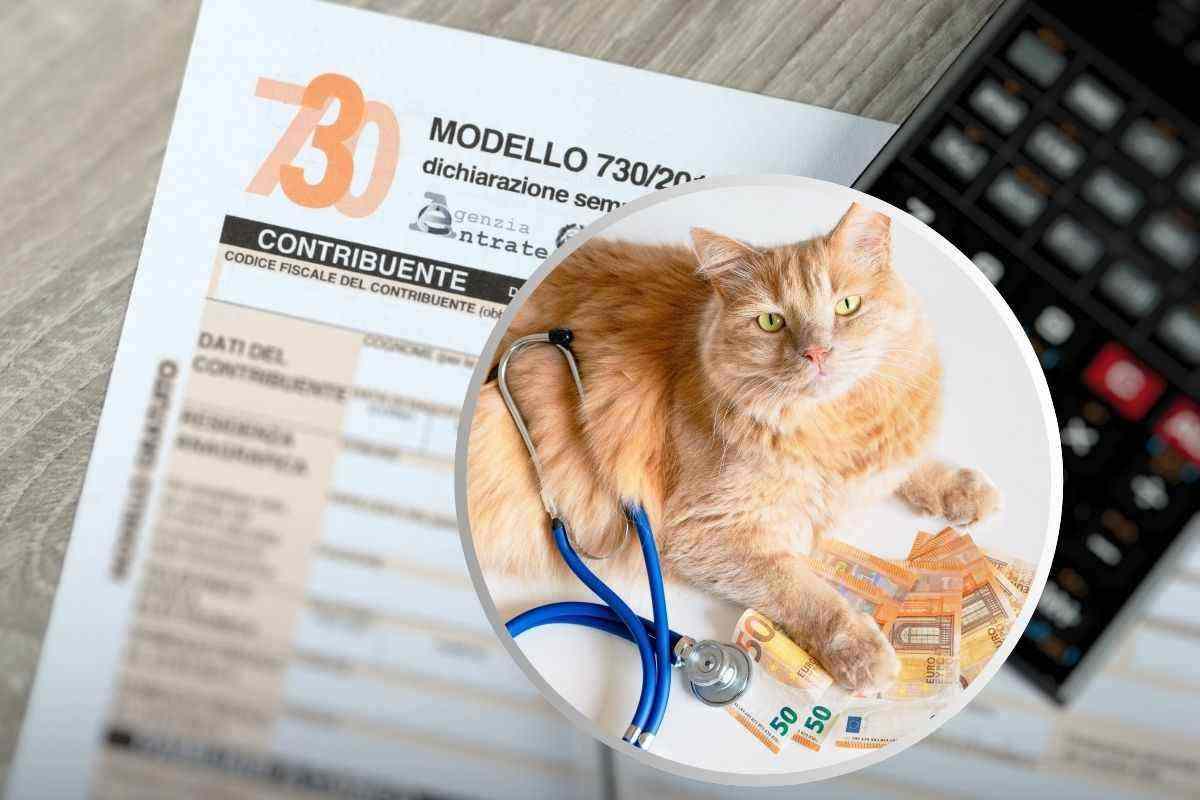 Modello 730 spese veterinarie come richiederlo