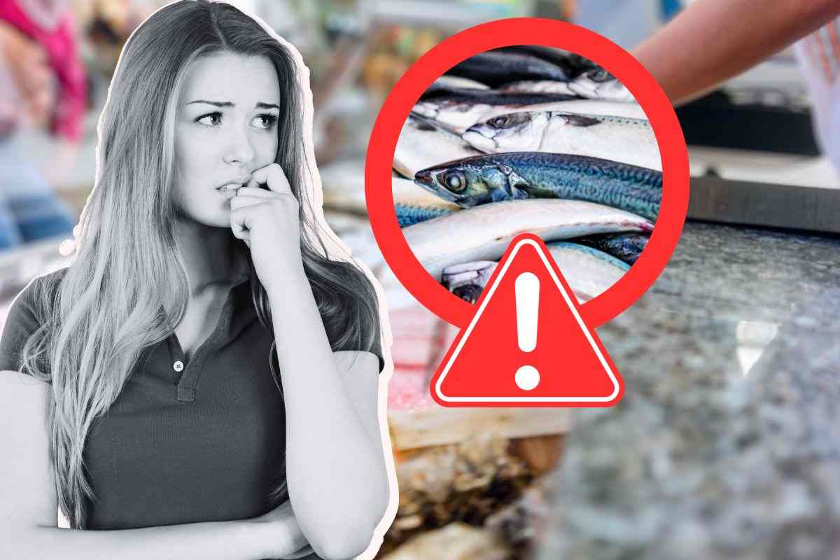 Ministero richiamo pesce rischio mercurio