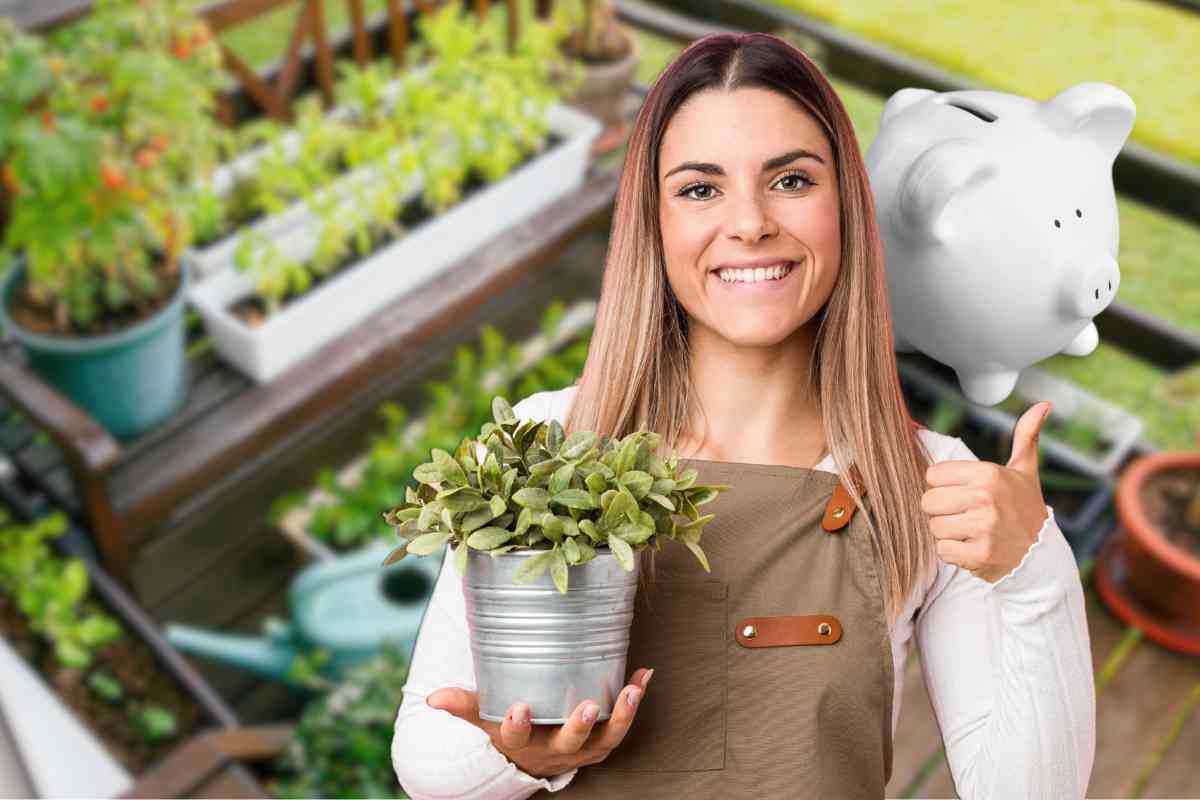 Scegliere vaso giusto per il balcone