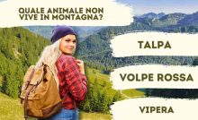 Quiz sugli animali di montagna