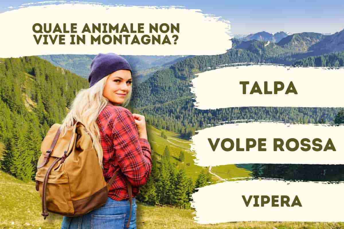 Quiz sugli animali di montagna