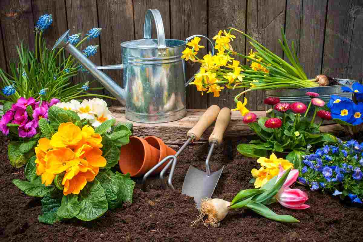 Ingrediente per giardino rigoglioso