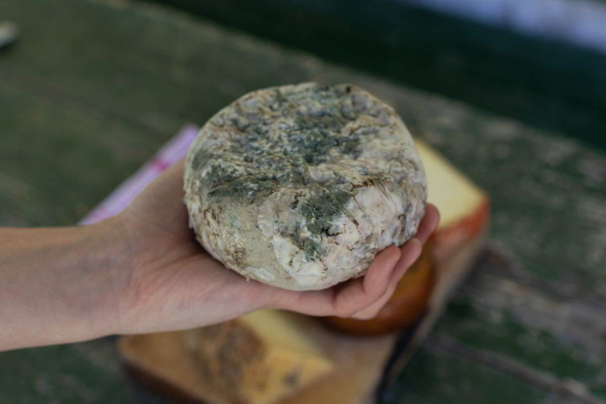 cosa sono le macchie sul formaggio