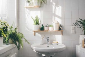 Nuova tendenza piante in bagno