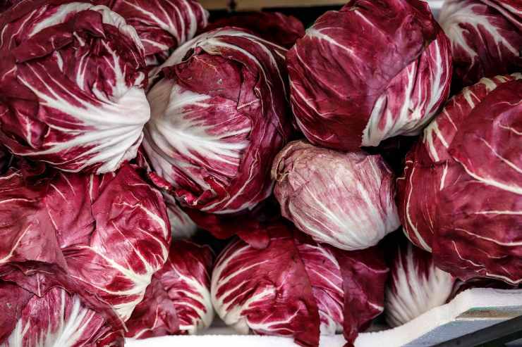 radicchio ricetta primo piatto 