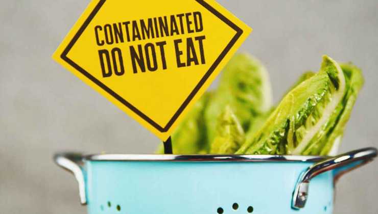 Come proteggersi dal cibo contaminato