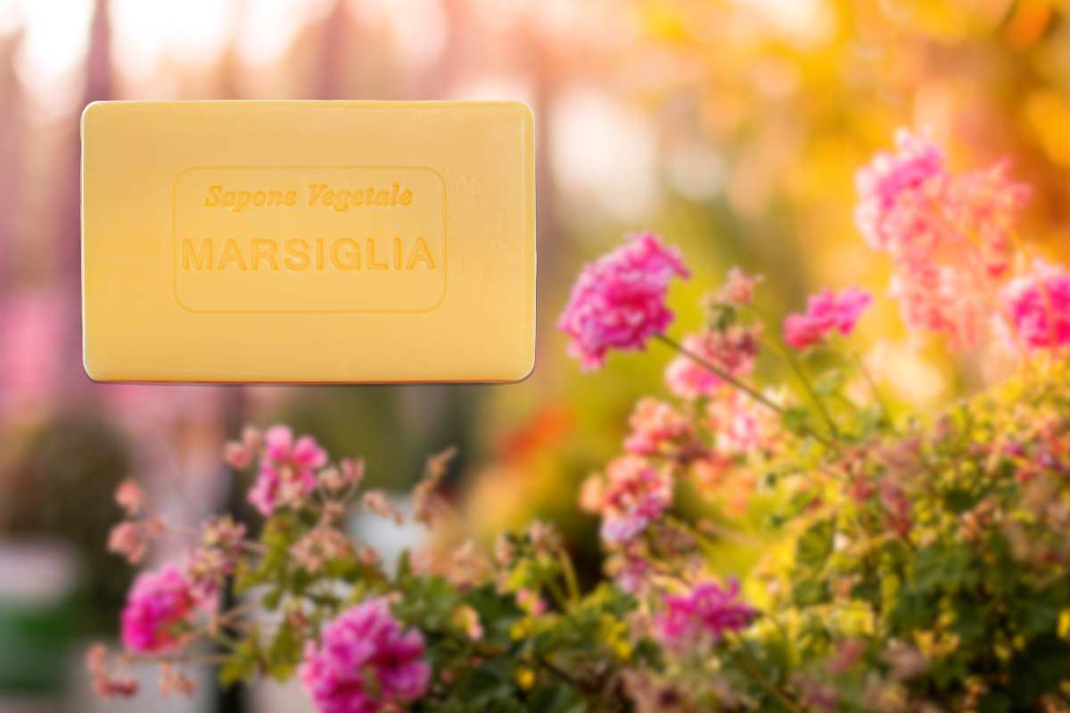 Come usare il sapone di Marsiglia in giardino