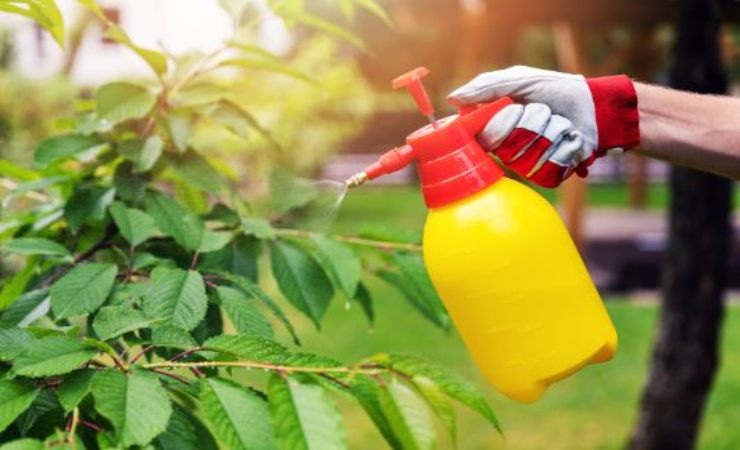 Sapone di Marsiglia salute piante