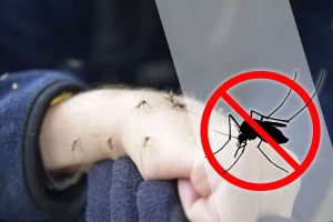 Come mandare via le zanzare