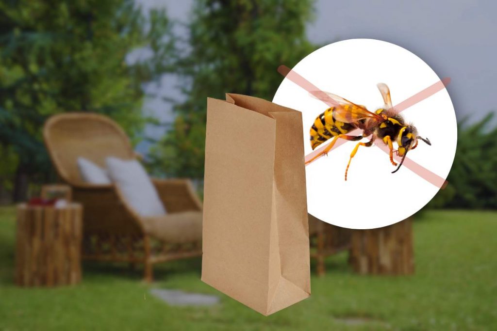 Sacchetti Di Ricambio AR6 Per Ariete Diablo 2780 | 10 Pezzi In Grigio - Foto 12