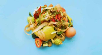 Scarti di cibo, quello che puoi farci ti sorprenderà: utilissimi in casa